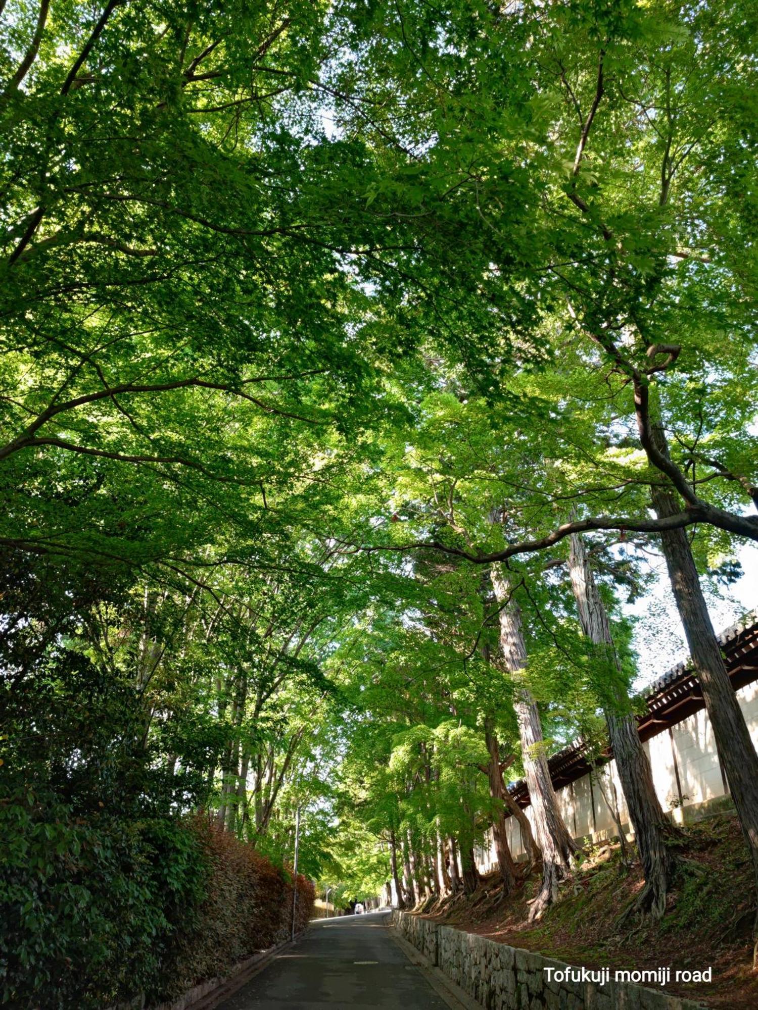 Walker House 65 Square Meters Whole Rent Kyoto